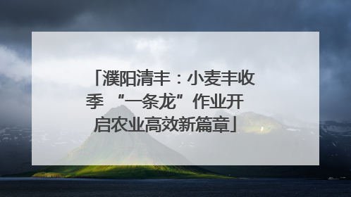濮阳清丰：小麦丰收季 “一条龙”作业开启农业高效新篇章